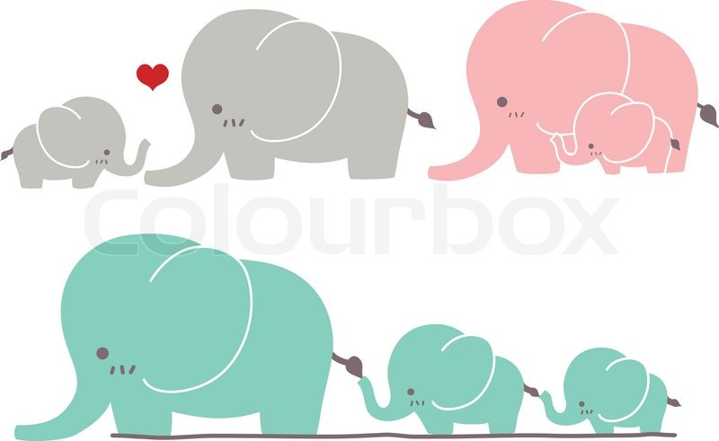 800x491 Cute Elephant