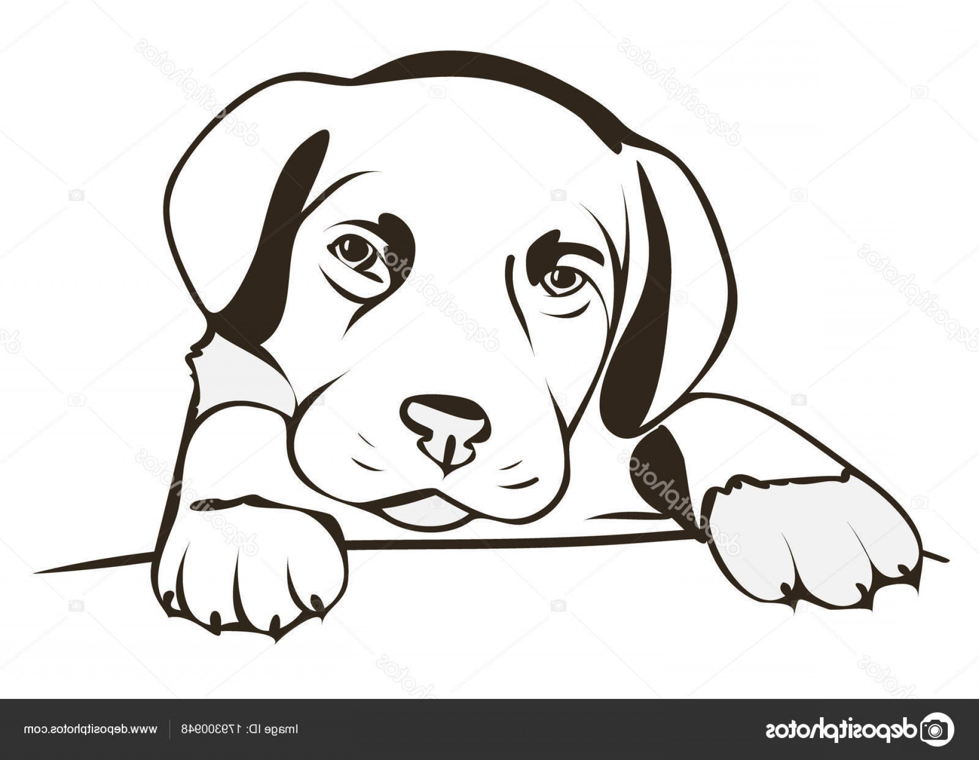 1920x1492 Stock Illustration Cute Puppy Blue Eyes Vector Newwaysys