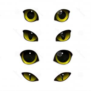 300x300 Cute Cartoon Black Cat With Big Eyes Vector Illustration Image