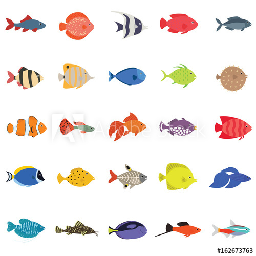 500x500 Cute Fish Vector Illustration Icons Set Tropical Fish, Sea Fish