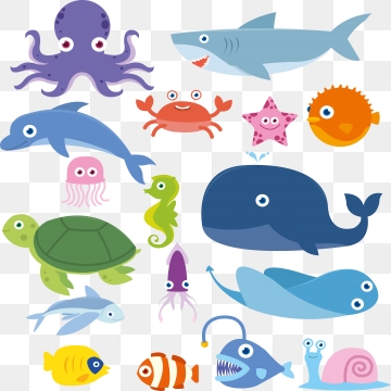360x360 Fish Vector, Graphic Resources For Free Download