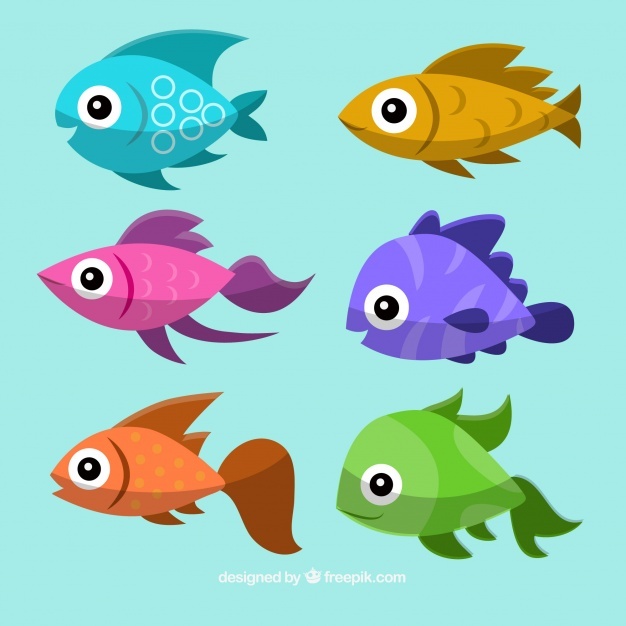 626x626 Fish Vectors, Photos And Free Download