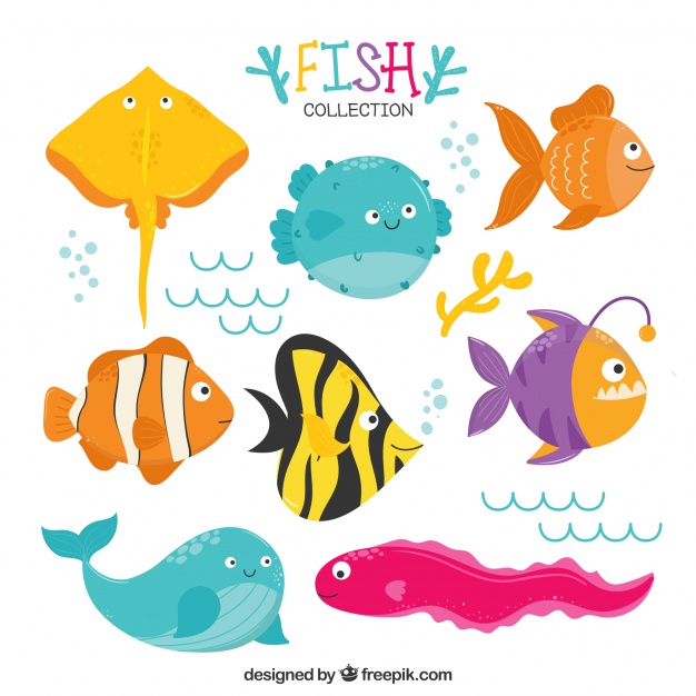 626x626 Set Of Funny Fish Vector Free Download
