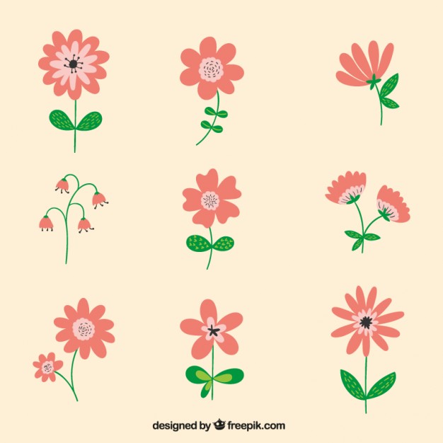 626x626 Cute Flower Collection Vector Free Download