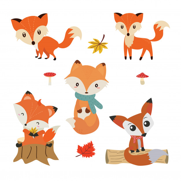 626x626 Cute Fox Collection Vector Illustration Autumn Forest In Vector