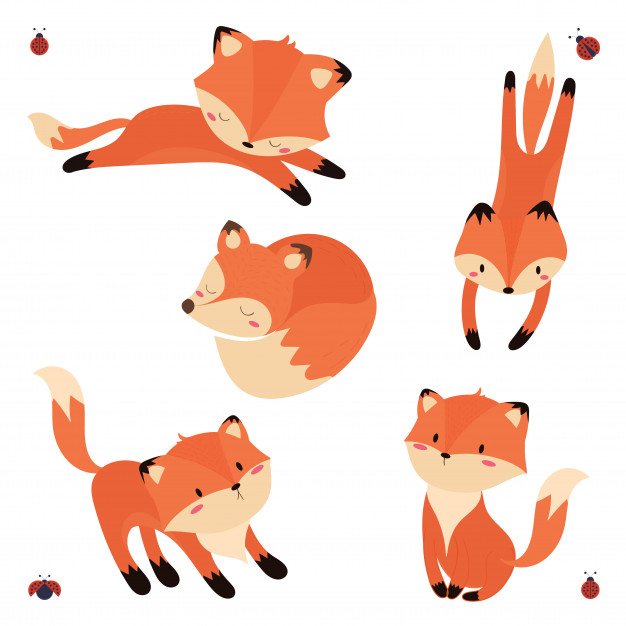626x626 Cute Fox Set Vector Premium Download