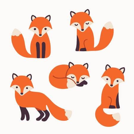 450x450 Image Result For Fox Vector Image Fox In Fox Drawing, Fox