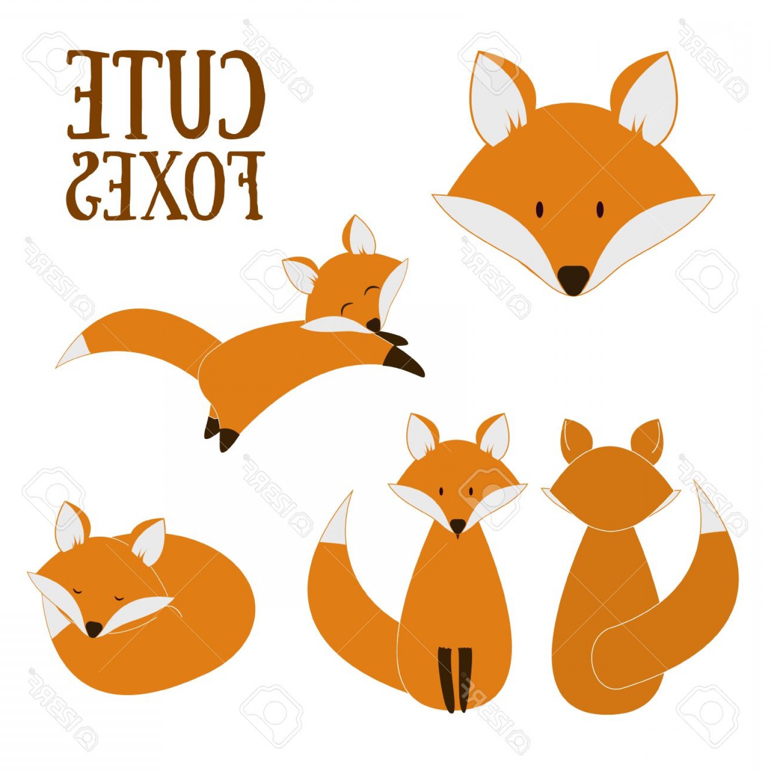 1560x1560 Photostock Vector Set Of Cute Foxes Vector Cartoon Fox Isolated