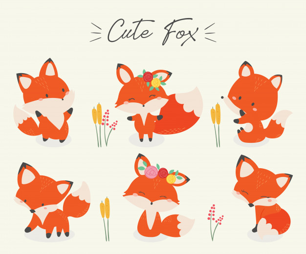 626x521 Set Of Cute Fox Vector Illustration Vector Premium Download