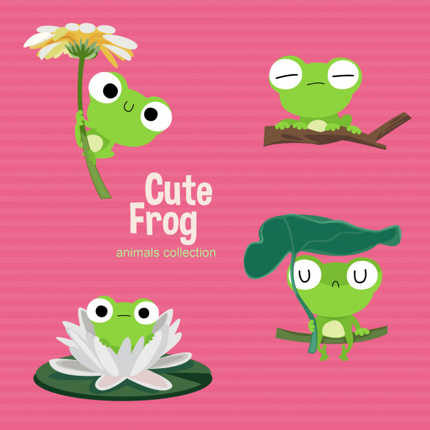626x626 Cute Frog Animals Collection Vector Premium Download