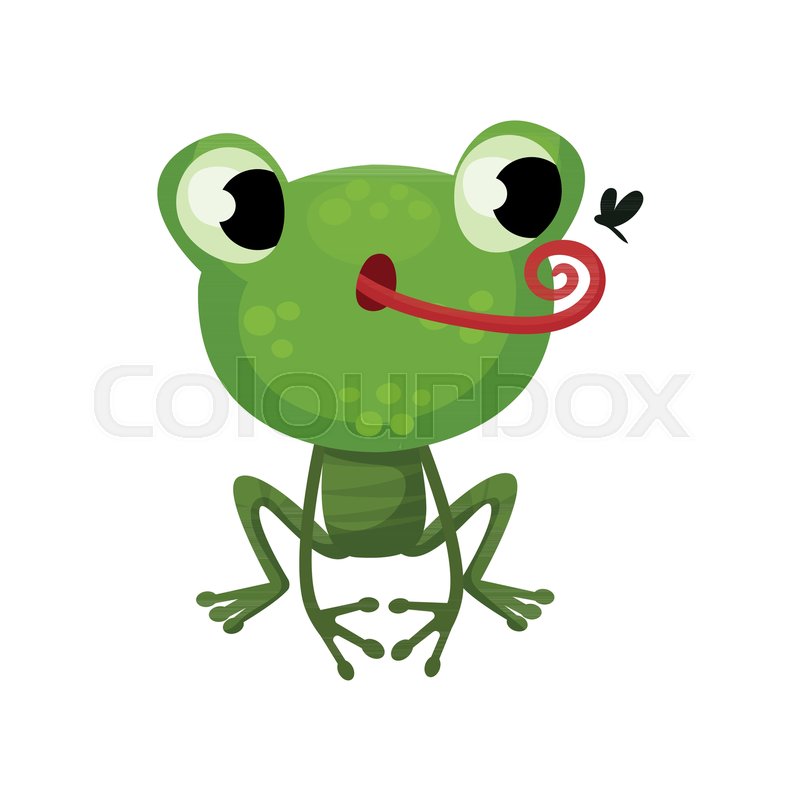 800x800 Cute Frog Hunting On Mosquito Icon Of Stock Vector Colourbox