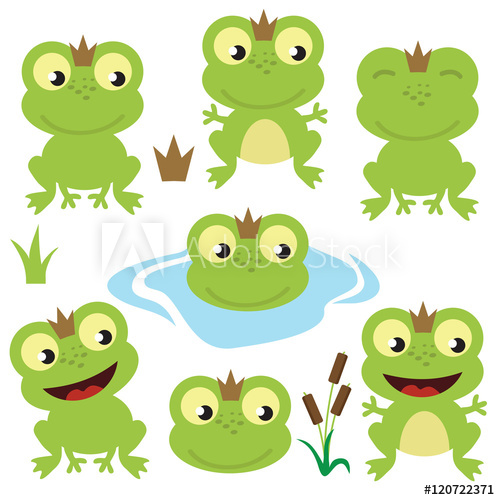 500x500 Cute Frog Vector Cartoon Illustration