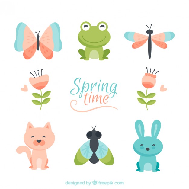 626x626 Frog Vectors, Photos And Free Download