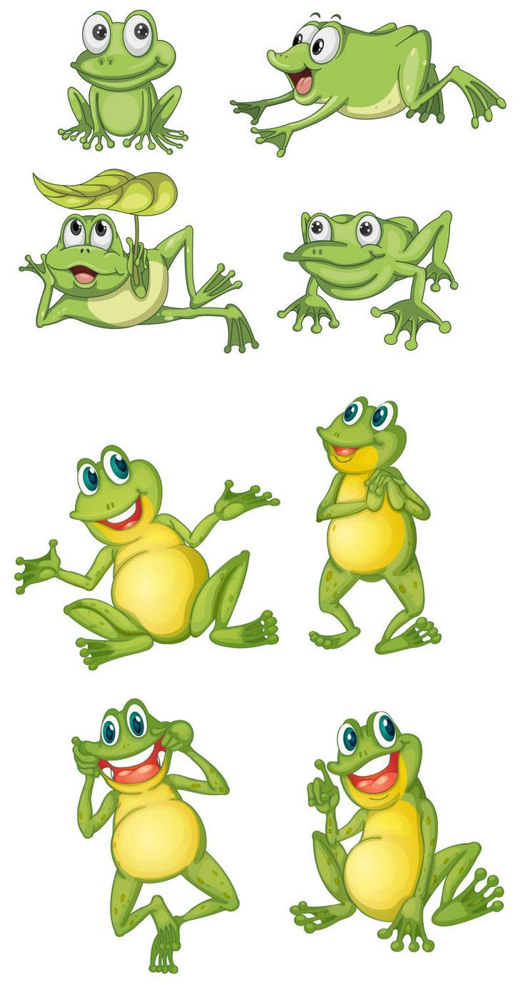 736x1380 Cartoon Frog Vector