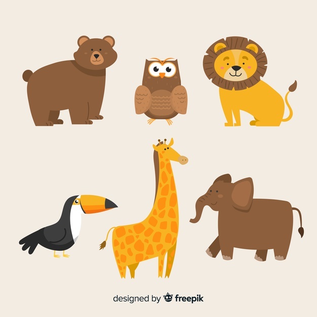 626x626 Lion Vectors, Photos And Free Download