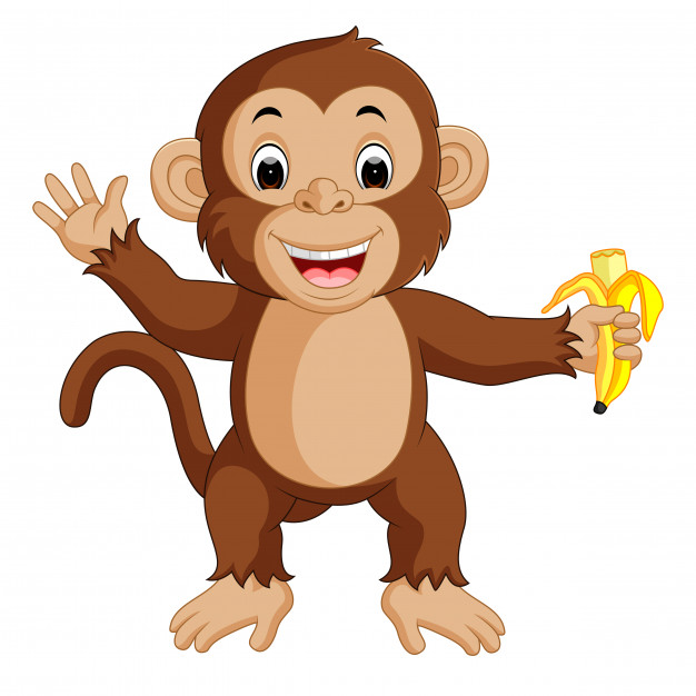 626x626 Cute Monkey Cartoon Eating Banana Vector Premium Download