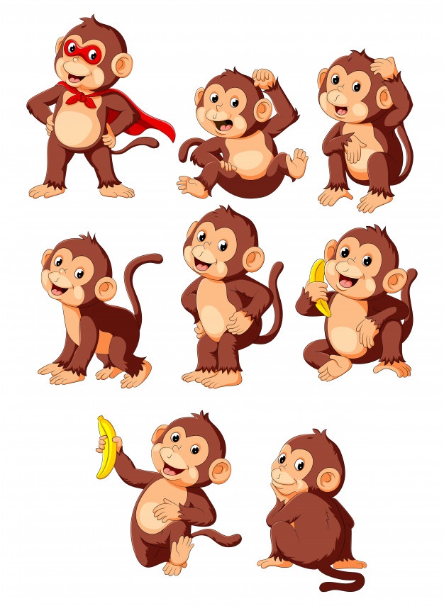 626x855 Monkey Vectors, Photos And Free Download