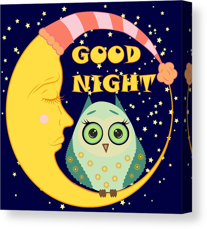 Good Night Card With Sleeping Moon And Cute Owl Vector 678x750 Good Night Card With Sleeping Moon And Cute Owl Vector
