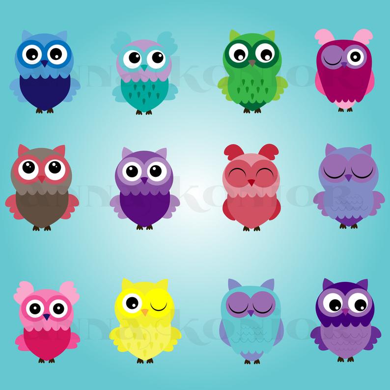 Owls Clip Art Cute Owls Vector Graphics Owls Clipart Etsy 794x794 Owls Clip Art Cute Owls Vector Graphics Owls Clipart Etsy