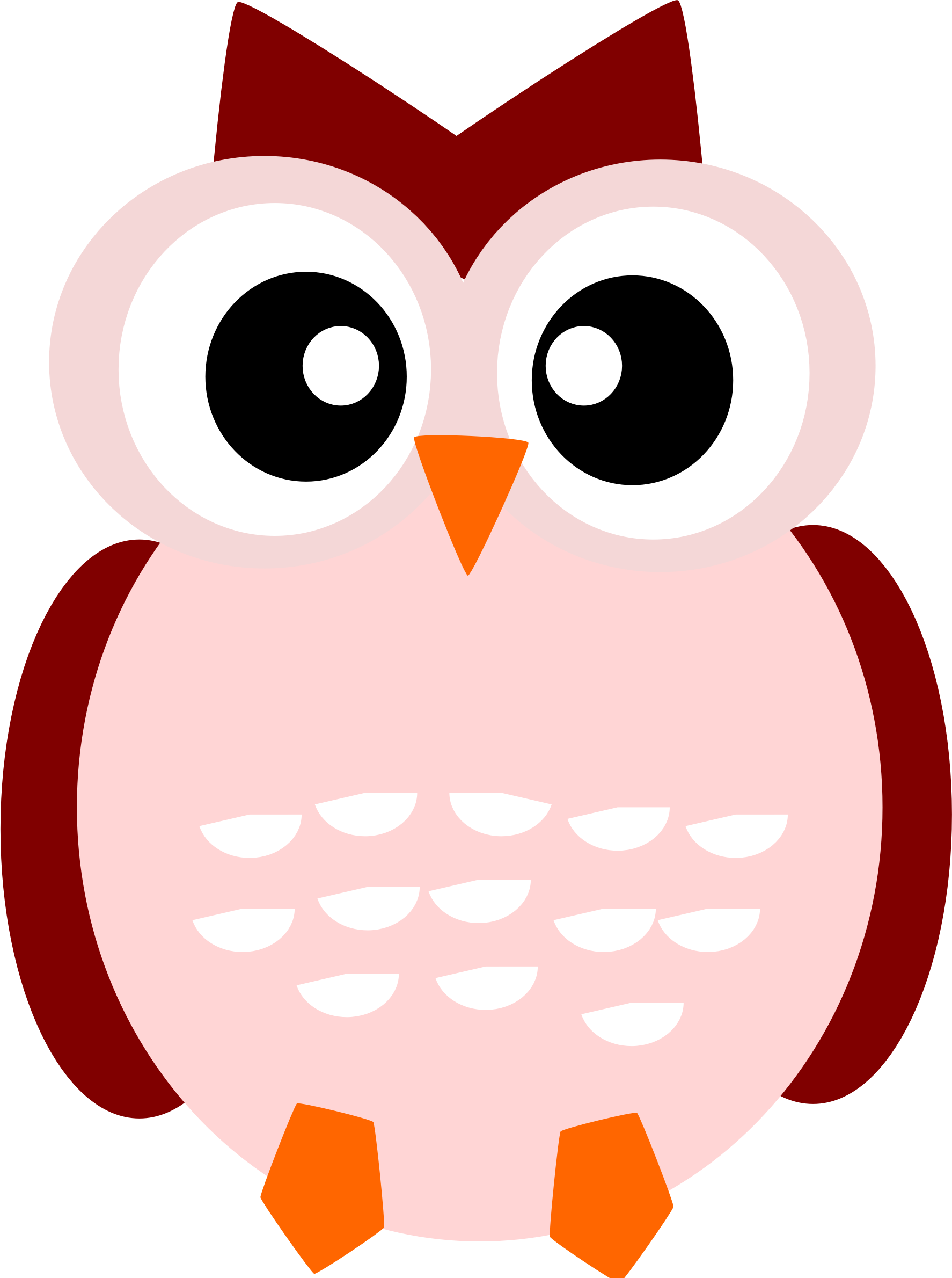 A Cute Owl 1774x2380 A Cute Owl