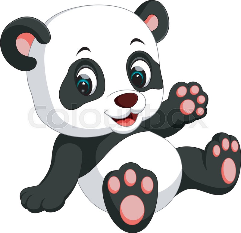 800x775 Cute Panda Cartoon Stock Vector Colourbox