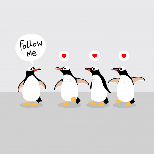 626x626 Cute Penguins Vector Vector Premium Download
