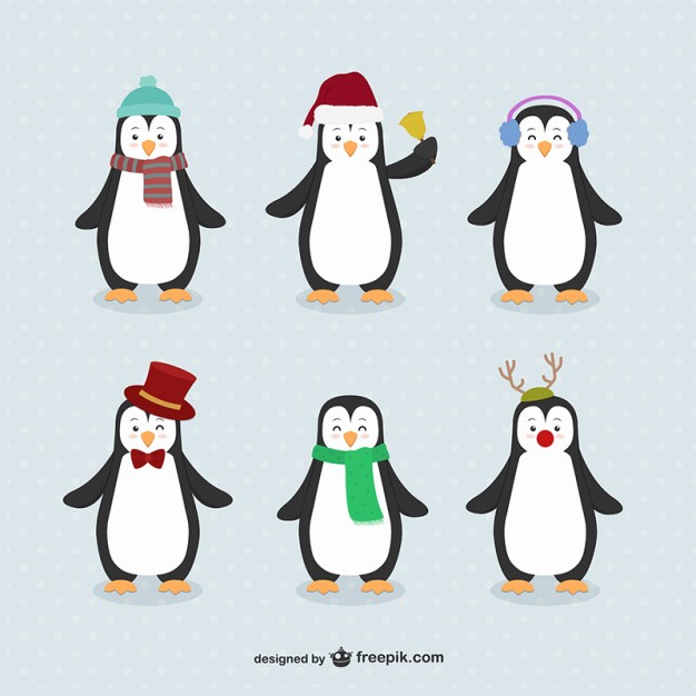 626x626 Penguin Vectors, Photos And Free Download