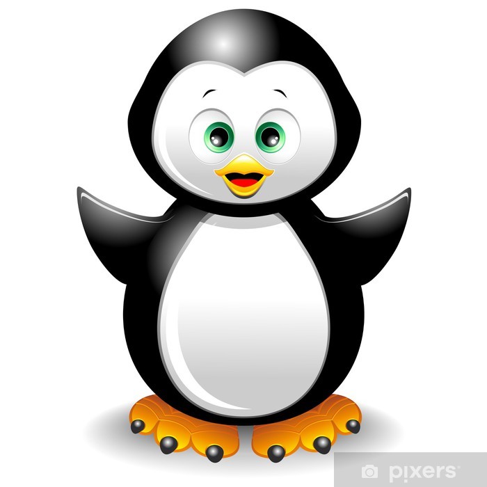 700x700 Pinguino Cucciolo Cartoon Cute Penguin Vector Sticker Pixers