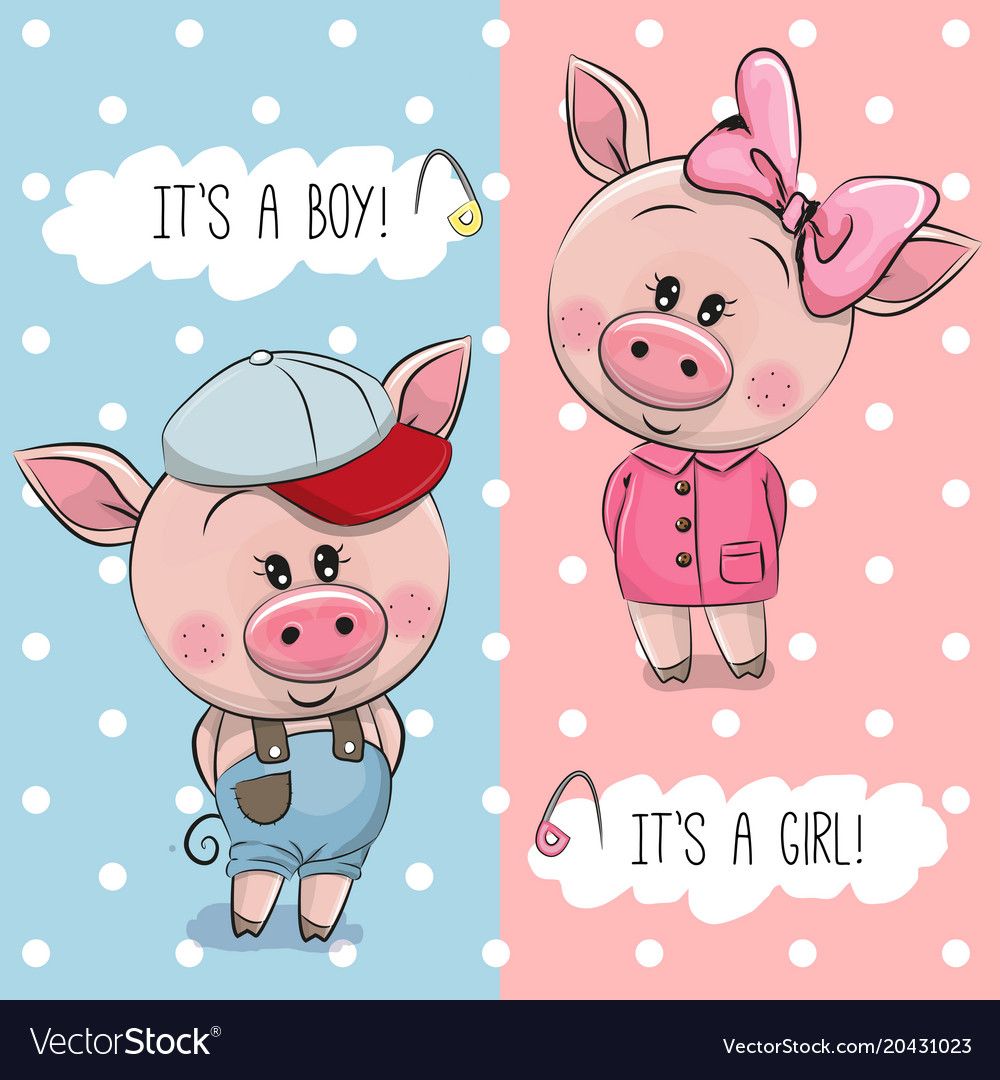 Cute Pig Vector