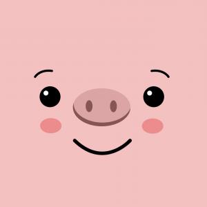 Funny Kawaii Pig Face On Pink Background Cute Pig Gm Newwaysys 300x300 Funny Kawaii Pig Face On Pink Background Cute Pig Gm Newwaysys