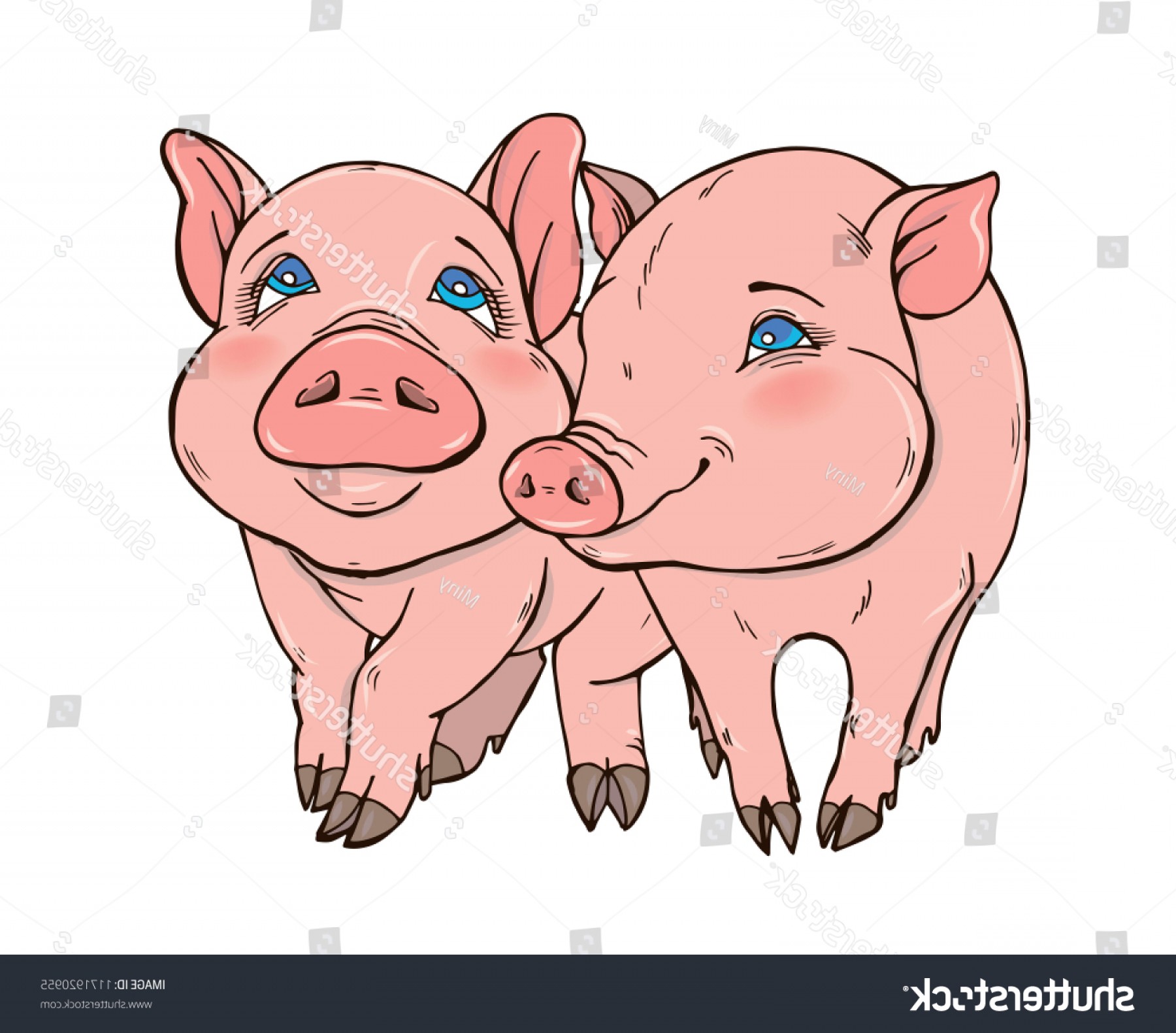 Two Cute Funny Pig Vector Illustration Savoyuptown 1800x1581 Two Cute Funny Pig Vector Illustration Savoyuptown