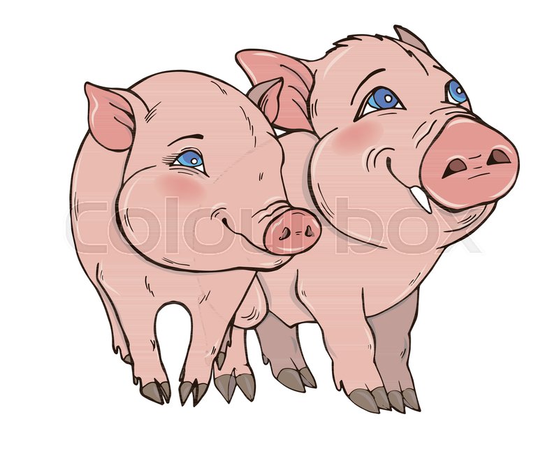 Two Cute Funny Pig Vector Illustration Stock Vector Colourbox 800x650 Two Cute Funny Pig Vector Illustration Stock Vector Colourbox