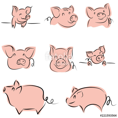 Drawing Of Cute Pig Vector Illustration Simple Concept Zodiac 500x500 Drawing Of Cute Pig Vector Illustration Simple Concept Zodiac