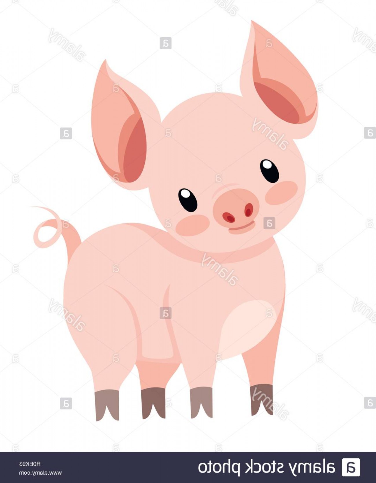 1299x1668 Cute Pig Standing Cartoon Character Design Flat Little Piggy