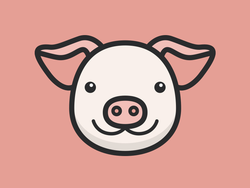 Cute Pig Vector Face 800x600 Cute Pig Vector Face