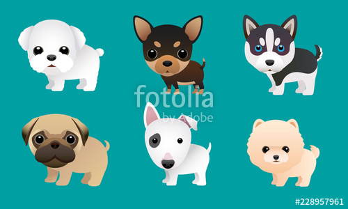 500x300 Cute Puppy Vector Set Pomeranian,chivava,pug And Others Stock