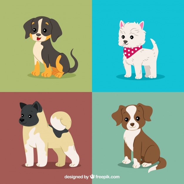 626x626 Puppy Vectors, Photos And Free Download