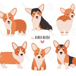 300x300 Set Of Welsh Corgi Dog In Different Poses Puppy Vector Soidergi