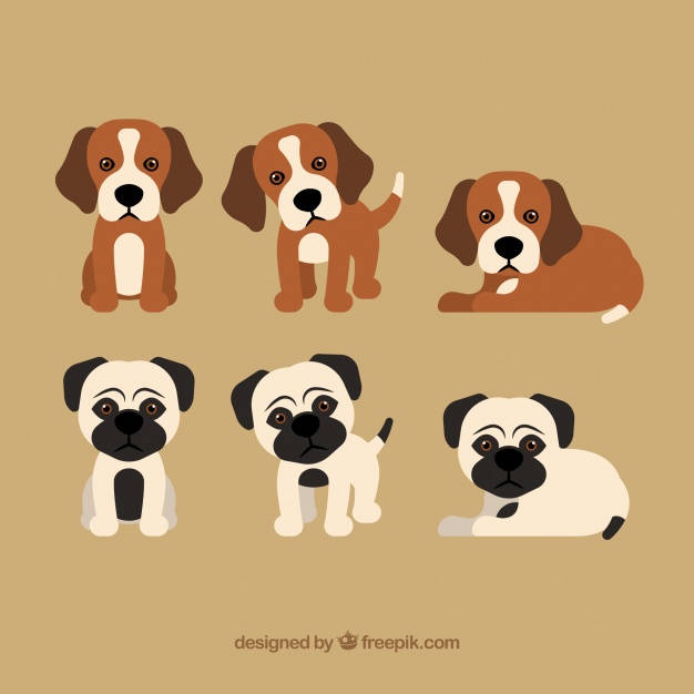 626x626 Collection Of Cute Puppies Vector Free Download