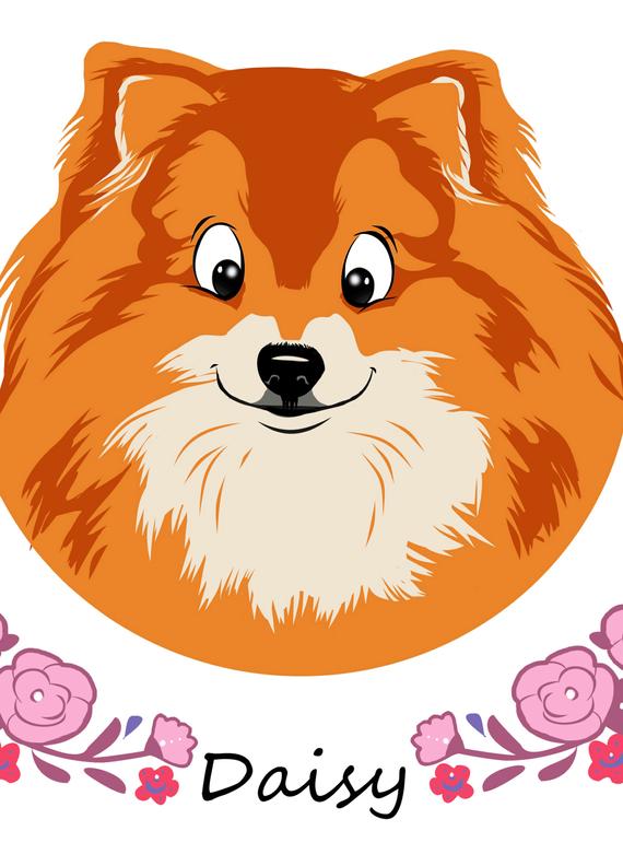 570x792 Custom Pet Portrait Dog Spitz Digital Art Puppy Vector Etsy