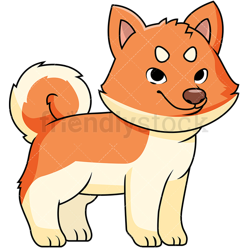 800x800 Cute Akita Puppy Cartoon Vector Clipart