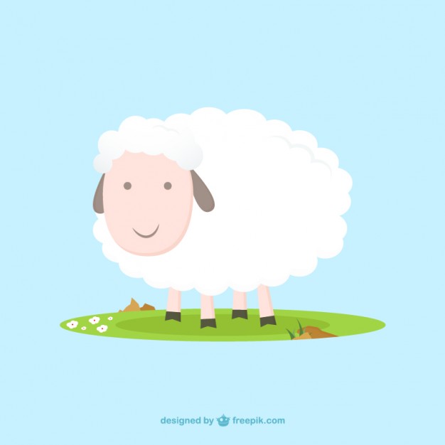 626x626 Cute Sheep Vector Free Download