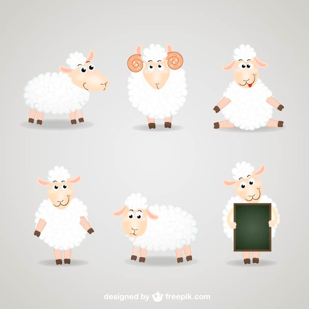 626x626 Sheep Vectors, Photos And Free Download