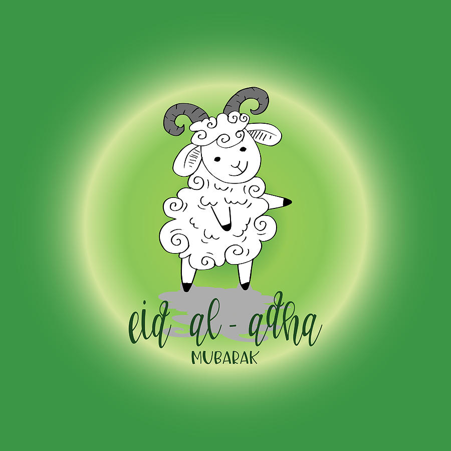 900x900 Cute Funny Sheep, Vector Illustration For Muslim Community