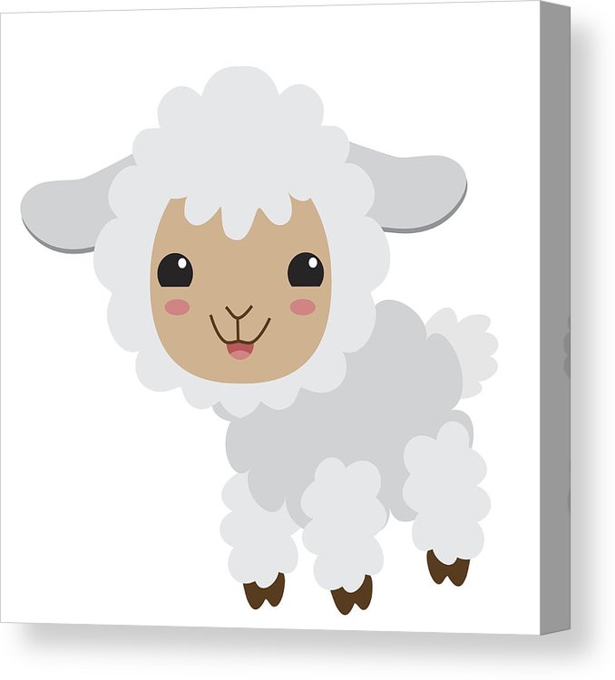 678x750 Cute Sheep Vector Illustration Canvas Print Canvas Art
