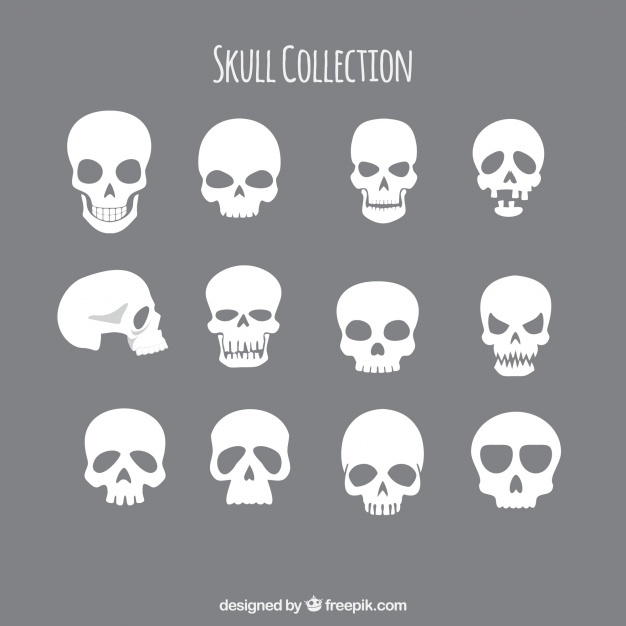 Skull Vectors, Photos And Free Download 626x626 Skull Vectors, Photos And Free Download