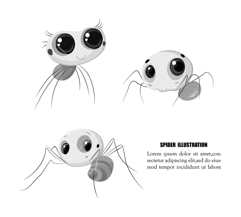 Cute Spider Illustration Vector Funny Character Black And White 1000x899 Cute Spider Illustration Vector Funny Character Black And White