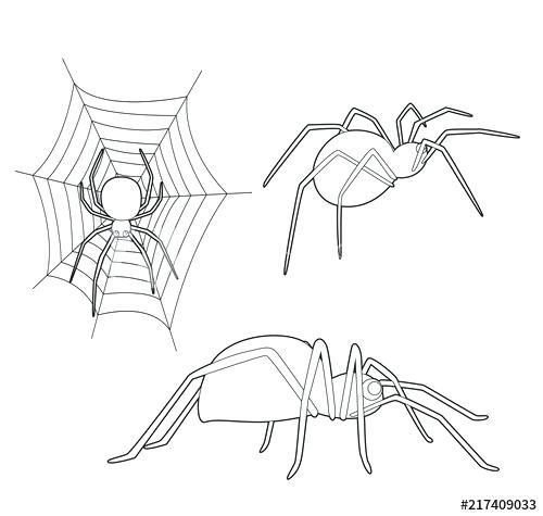 Cute Spider Drawing 500x475 Cute Spider Drawing