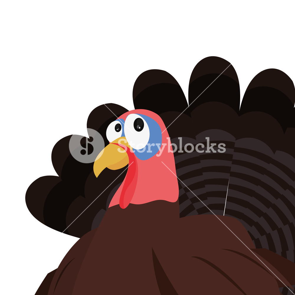 Cute Turkey Looking Up Background Vector Illustration Royalty Free 1000x1000 Cute Turkey Looking Up Background Vector Illustration Royalty Free