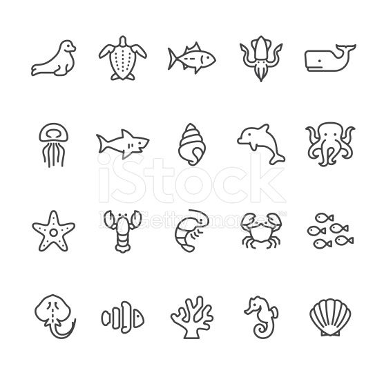 Sea Life And Ocean Animals Related Vector Icons Tattoos 556x556 Sea Life And Ocean Animals Related Vector Icons Tattoos